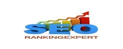 SEO Expert